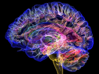 色逼色大脑植入物有助于严重头部损伤恢复